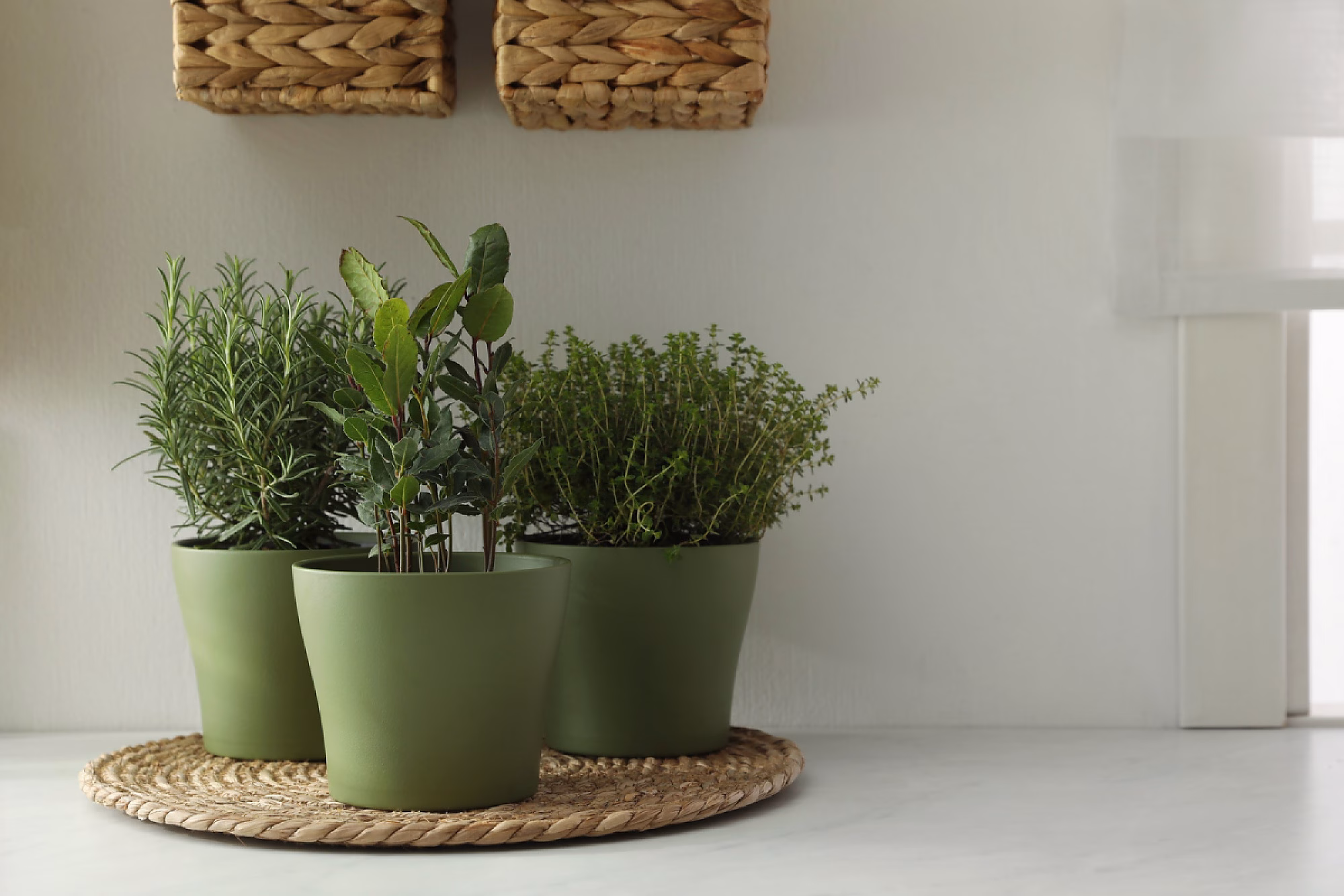 230523_un_pequeno_huerto_en_la_cocina_portada_2.-pim2-2000_q