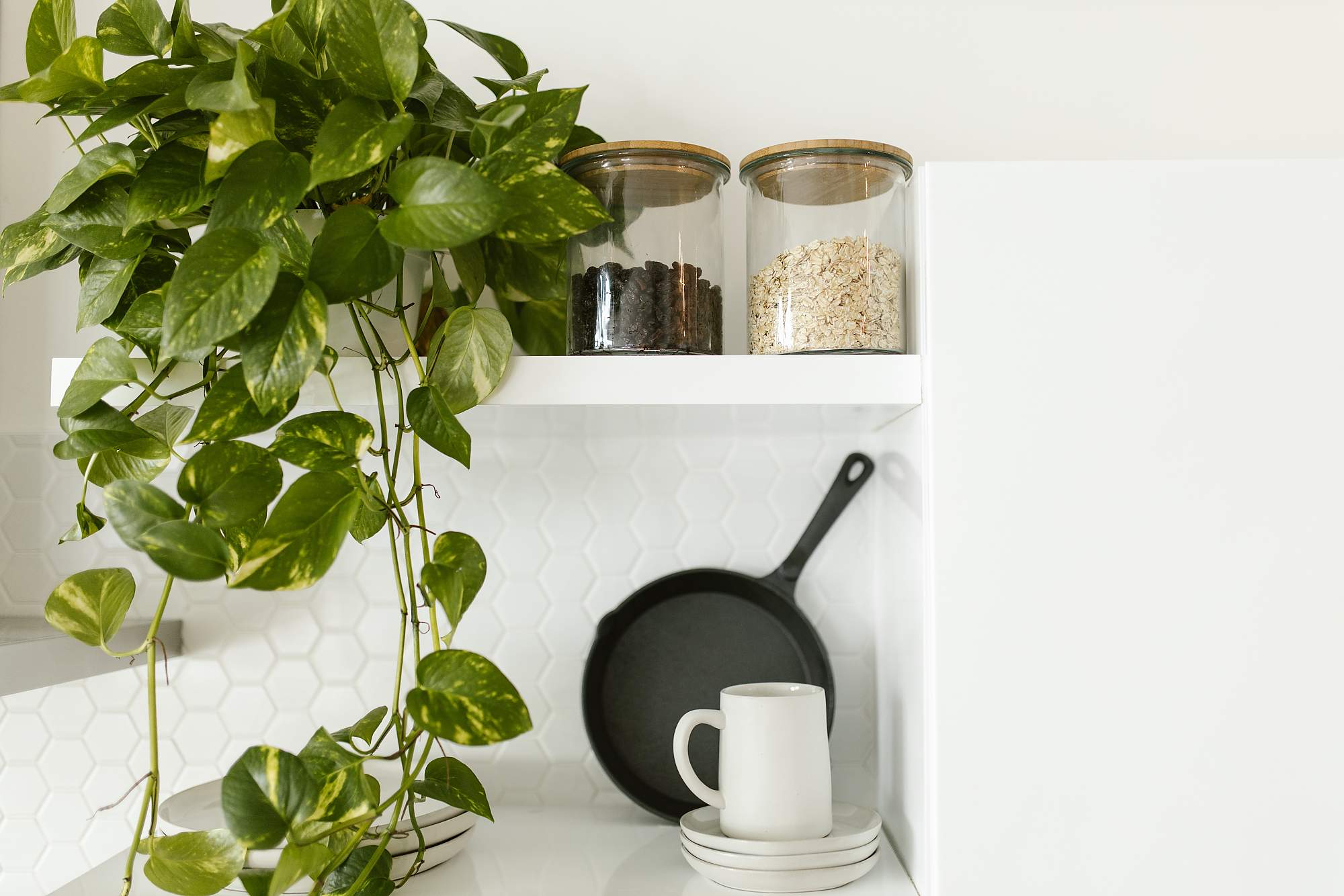 Ideas para decorar con plantas tu cocina