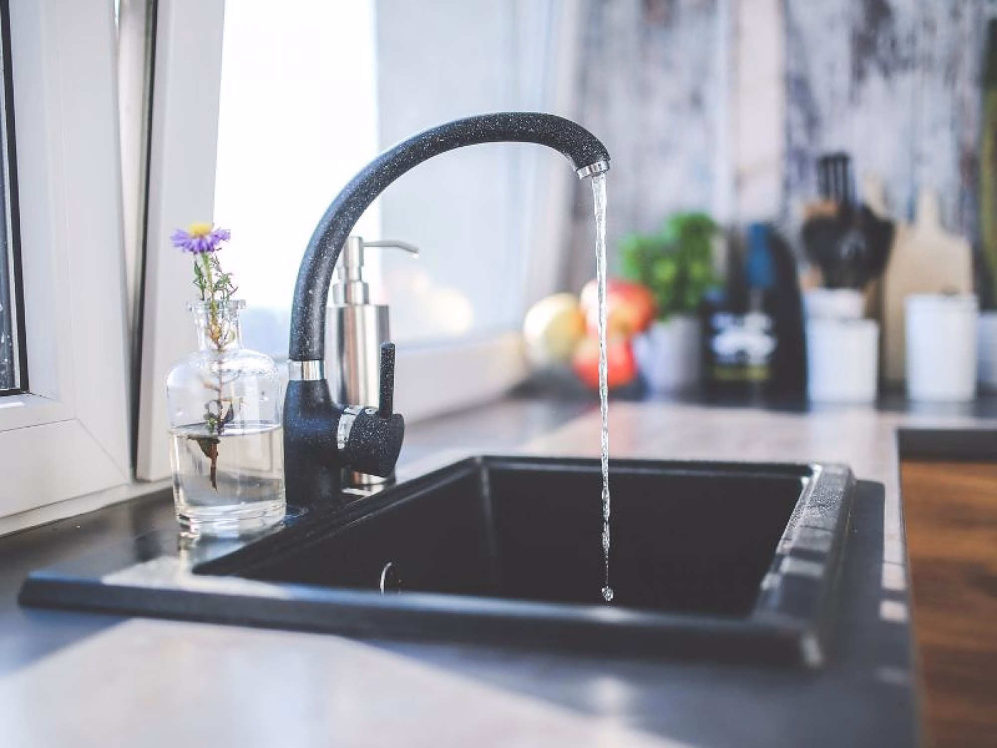 renovacion.-pim2-2000_q